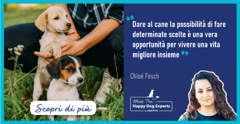 Dare al cane l’opportunità di scegliere – un concetto essenziale per l’addestramento