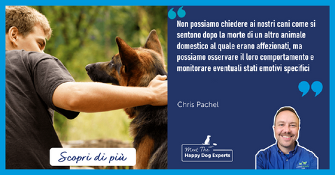 Come aiutare il cane a superare il lutto