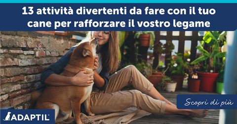 13 attività divertenti da fare con il tuo cane per rafforzare il vostro legame