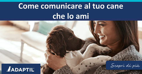 Come comunicare al tuo cane che lo ami