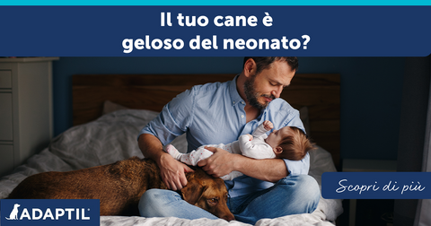 Il tuo cane è geloso del neonato ?