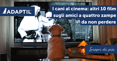 I cani al cinema: altri 10 film sugli amici a quattro zampe da non perdere