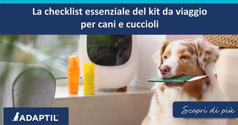 La checklist essenziale del kit da viaggio per cani e cuccioli