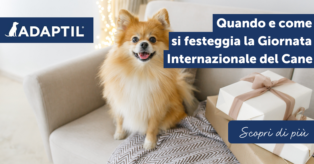 Quando e come si festeggia la Giornata Internazionale del Cane?