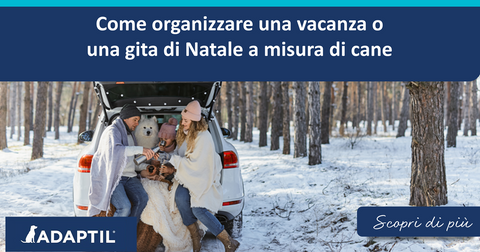 Come organizzare una vacanza o una gita di Natale a misura di cane