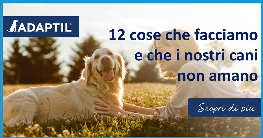 12 cose che facciamo e che i nostri cani non amano: il punto di vista di un cagnolino!