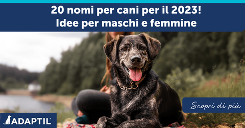 20 nomi per cani per il 2023! Idee per maschi e femmine