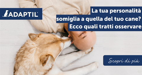 La tua personalità somiglia a quella del tuo cane? Ecco quali tratti osservare