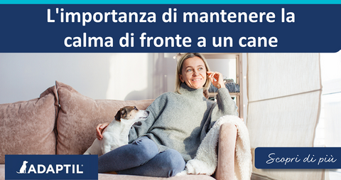 L'importanza di mantenere la calma di fronte a un cane